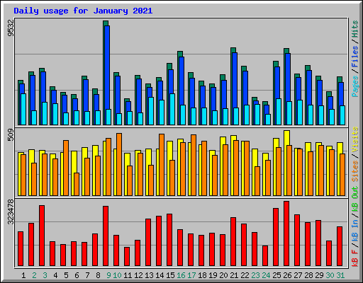 Daily usage for January 2021