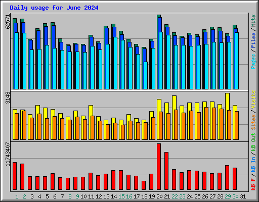 Daily usage for June 2024