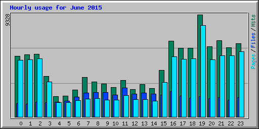 Hourly usage for June 2015