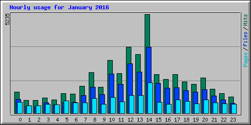 Hourly usage for January 2016