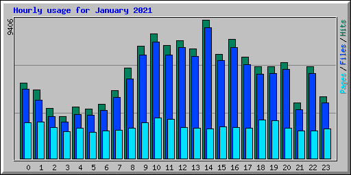 Hourly usage for January 2021