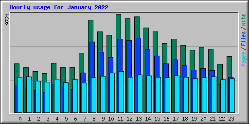 Hourly usage for January 2022