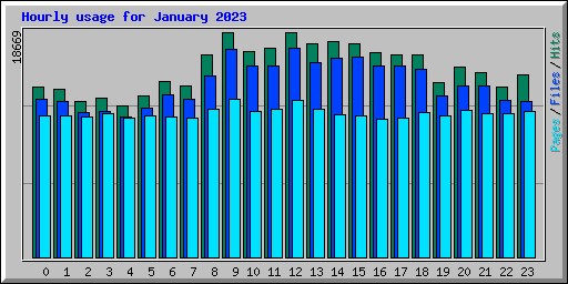 Hourly usage for January 2023