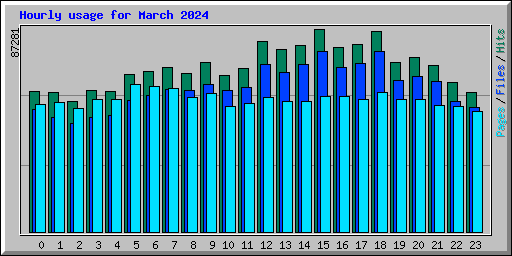 Hourly usage for March 2024