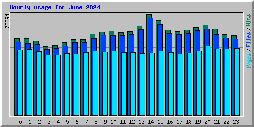 Hourly usage for June 2024