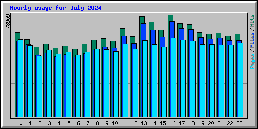 Hourly usage for July 2024