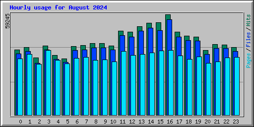 Hourly usage for August 2024