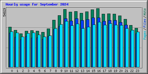 Hourly usage for September 2024