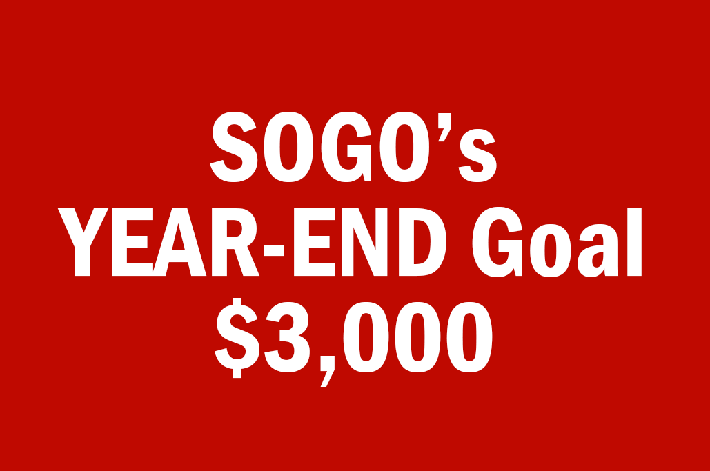 $3,000 Year End Goal